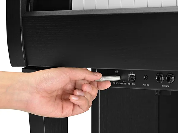 Music City – Tổng Kho Piano, Guitar, Organ | Dịch Vụ Giáo Dục Âm Nhạc