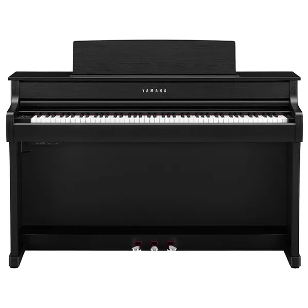 Music City – Tổng Kho Piano, Guitar, Organ | Dịch Vụ Giáo Dục Âm Nhạc