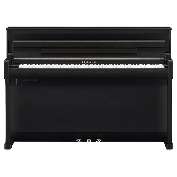Music City – Tổng Kho Piano, Guitar, Organ | Dịch Vụ Giáo Dục Âm Nhạc