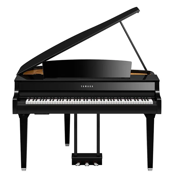 Music City – Tổng Kho Piano, Guitar, Organ | Dịch Vụ Giáo Dục Âm Nhạc
