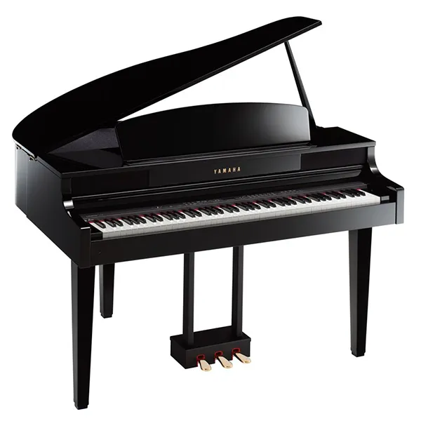 Music City – Tổng Kho Piano, Guitar, Organ | Dịch Vụ Giáo Dục Âm Nhạc