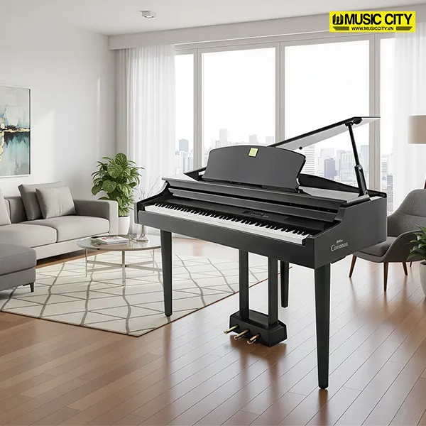 Music City – Tổng Kho Piano, Guitar, Organ | Dịch Vụ Giáo Dục Âm Nhạc