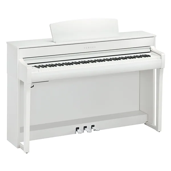 Music City – Tổng Kho Piano, Guitar, Organ | Dịch Vụ Giáo Dục Âm Nhạc