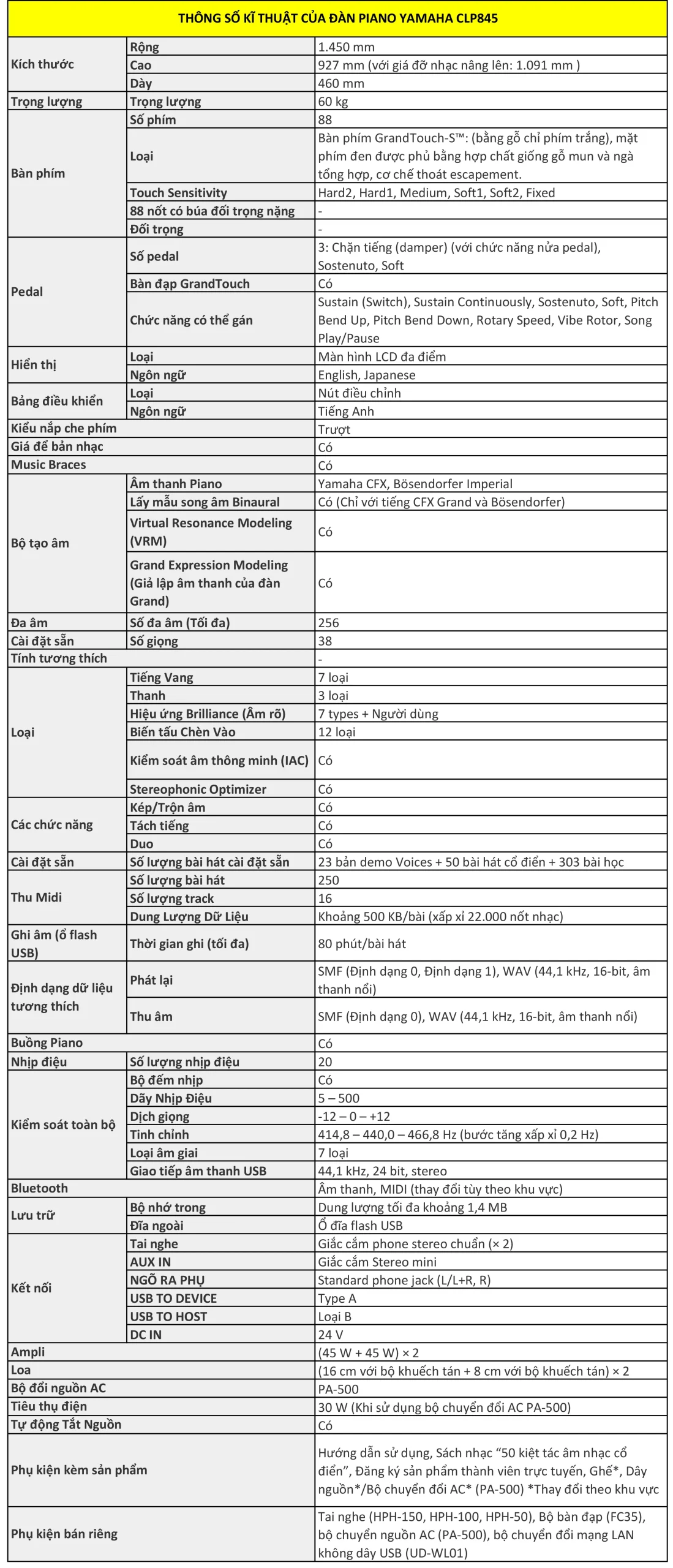 Music City – Tổng Kho Piano, Guitar, Organ | Dịch Vụ Giáo Dục Âm Nhạc