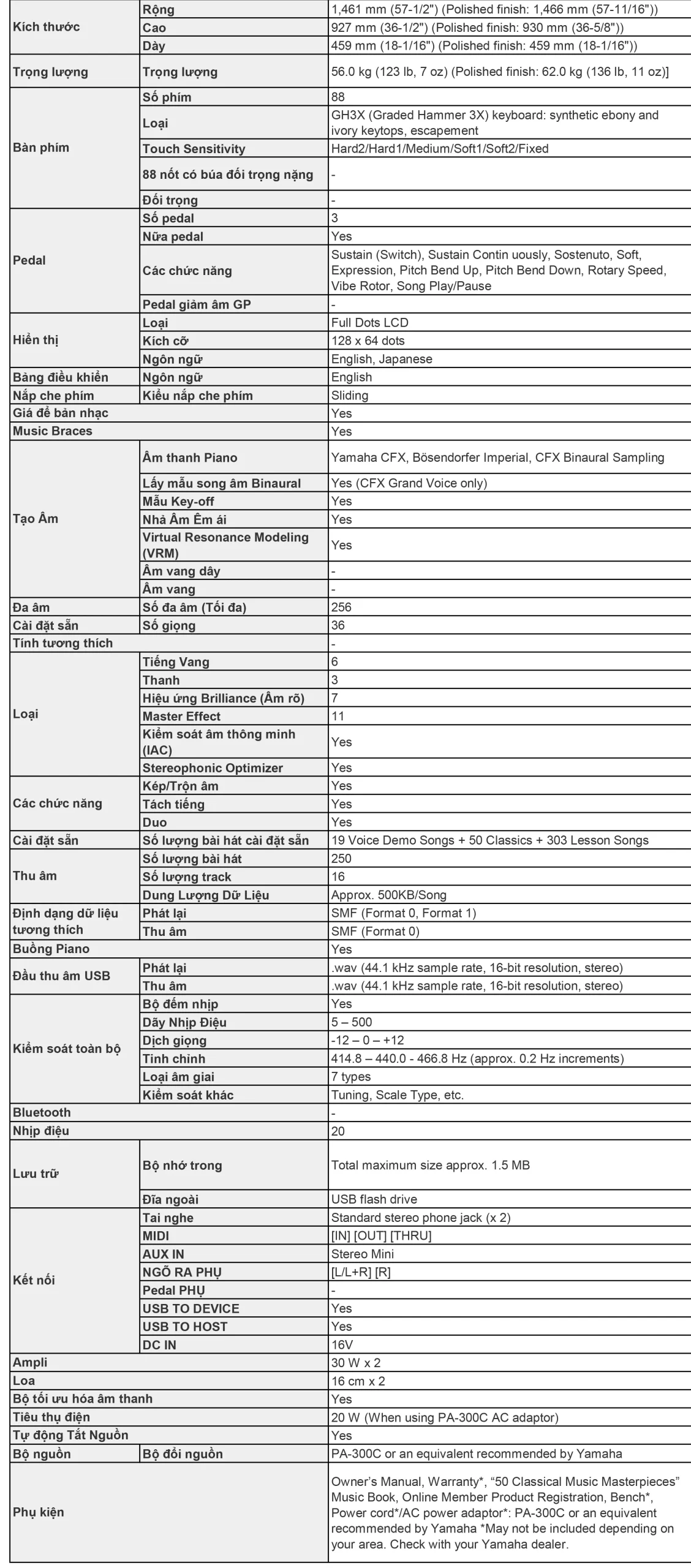 Music City – Tổng Kho Piano, Guitar, Organ | Dịch Vụ Giáo Dục Âm Nhạc