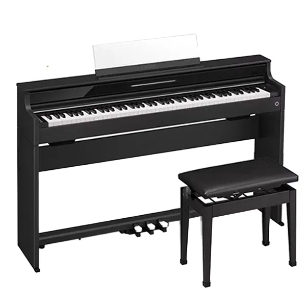 Music City – Tổng Kho Piano, Guitar, Organ | Dịch Vụ Giáo Dục Âm Nhạc