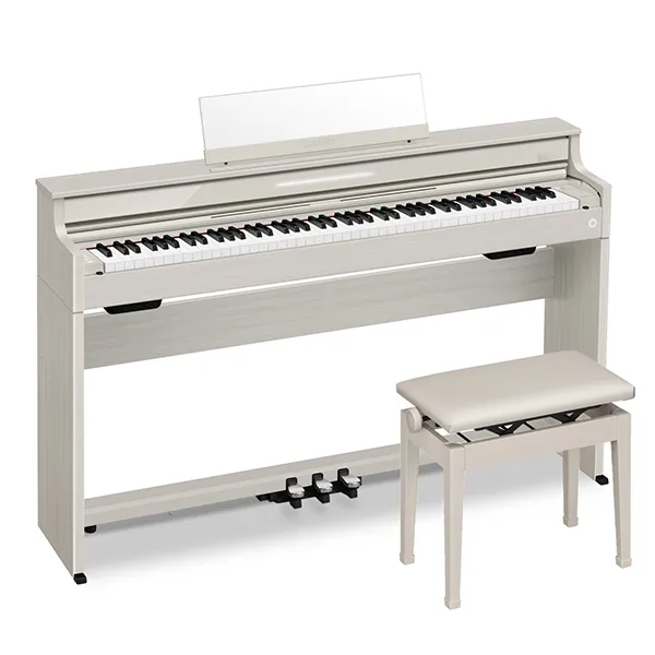 Music City – Tổng Kho Piano, Guitar, Organ | Dịch Vụ Giáo Dục Âm Nhạc