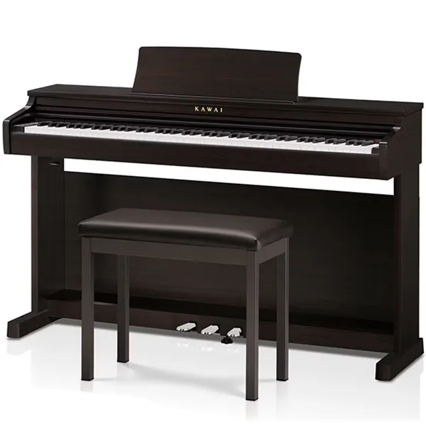 Music City – Tổng Kho Piano, Guitar, Organ | Dịch Vụ Giáo Dục Âm Nhạc