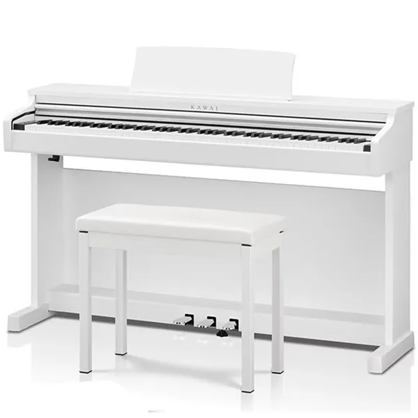 Music City – Tổng Kho Piano, Guitar, Organ | Dịch Vụ Giáo Dục Âm Nhạc