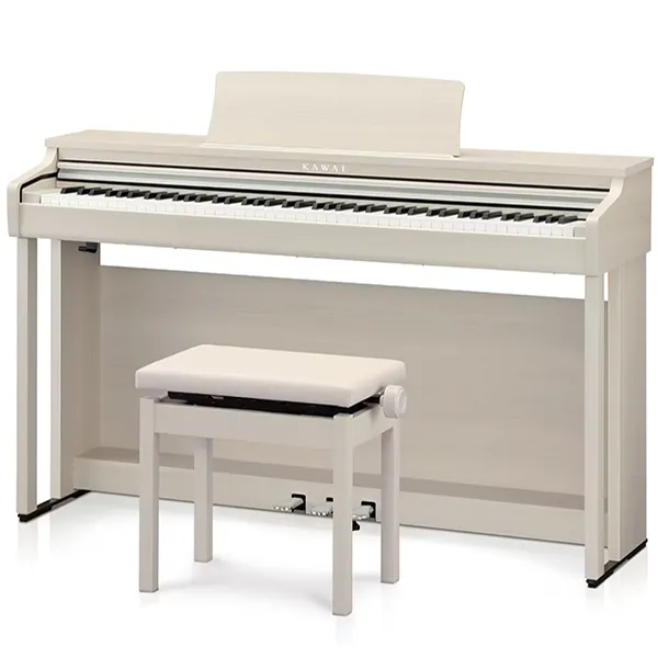 Music City – Tổng Kho Piano, Guitar, Organ | Dịch Vụ Giáo Dục Âm Nhạc
