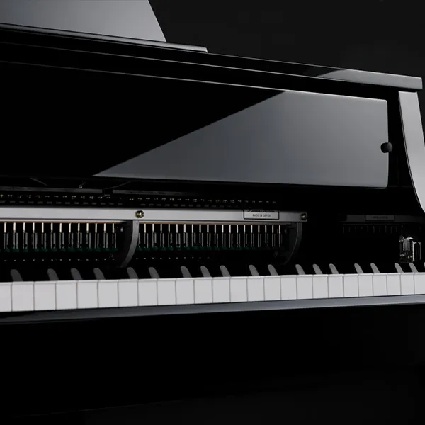 Music City – Tổng Kho Piano, Guitar, Organ | Dịch Vụ Giáo Dục Âm Nhạc