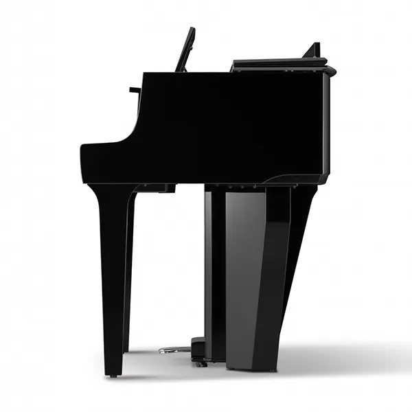 Music City – Tổng Kho Piano, Guitar, Organ | Dịch Vụ Giáo Dục Âm Nhạc