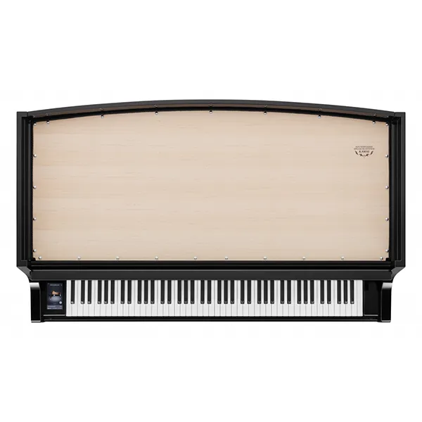 Music City – Tổng Kho Piano, Guitar, Organ | Dịch Vụ Giáo Dục Âm Nhạc