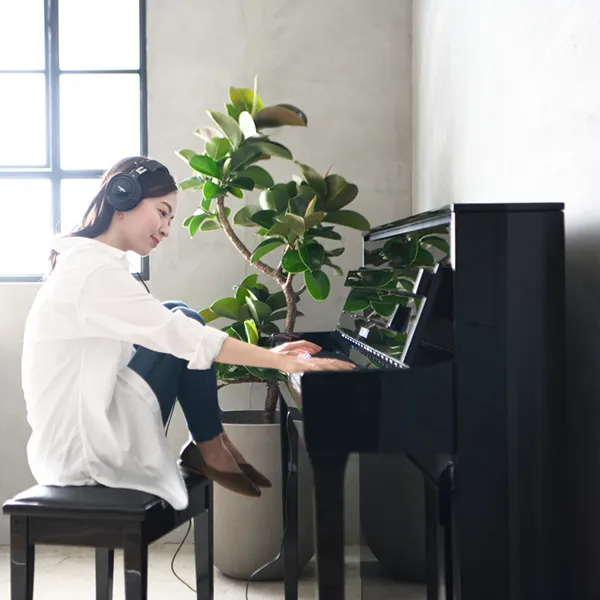 Music City – Tổng Kho Piano, Guitar, Organ | Dịch Vụ Giáo Dục Âm Nhạc