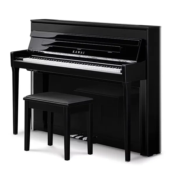 Music City – Tổng Kho Piano, Guitar, Organ | Dịch Vụ Giáo Dục Âm Nhạc