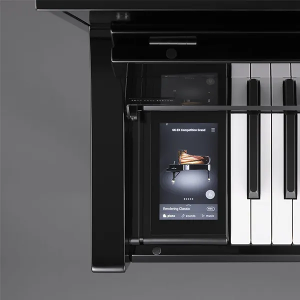 Music City – Tổng Kho Piano, Guitar, Organ | Dịch Vụ Giáo Dục Âm Nhạc