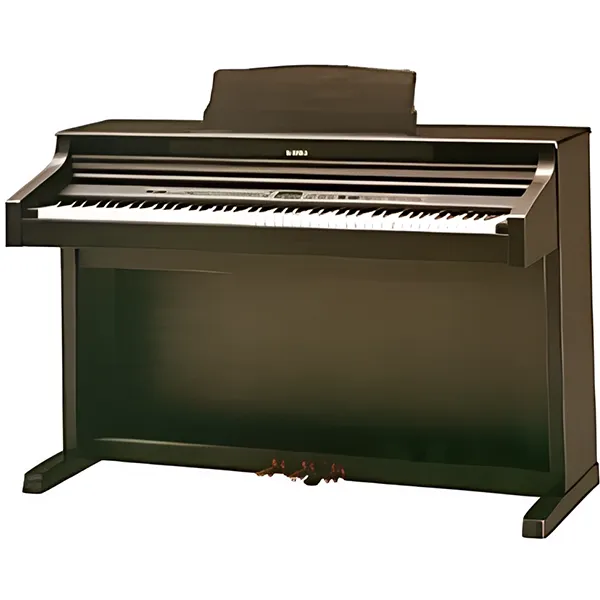 Music City – Tổng Kho Piano, Guitar, Organ | Dịch Vụ Giáo Dục Âm Nhạc