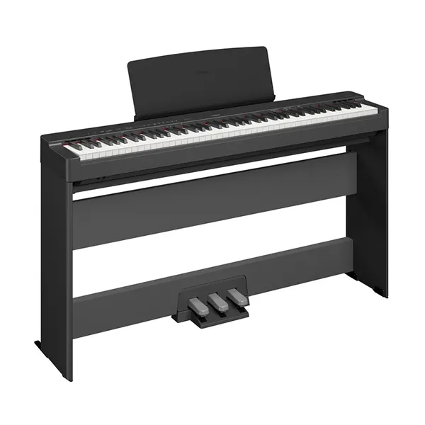 Music City – Tổng Kho Piano, Guitar, Organ | Dịch Vụ Giáo Dục Âm Nhạc