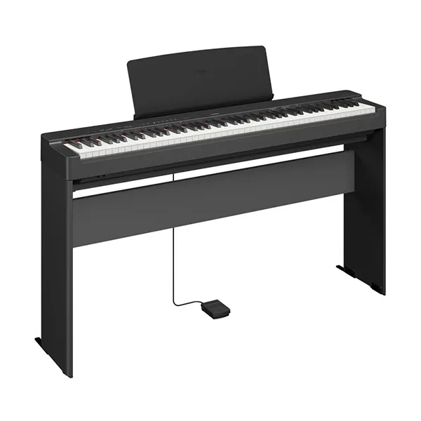 Music City – Tổng Kho Piano, Guitar, Organ | Dịch Vụ Giáo Dục Âm Nhạc