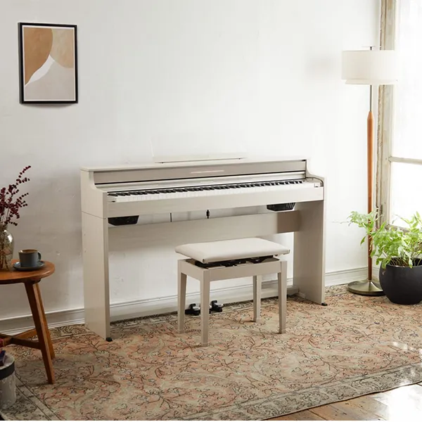Music City – Tổng Kho Piano, Guitar, Organ | Dịch Vụ Giáo Dục Âm Nhạc