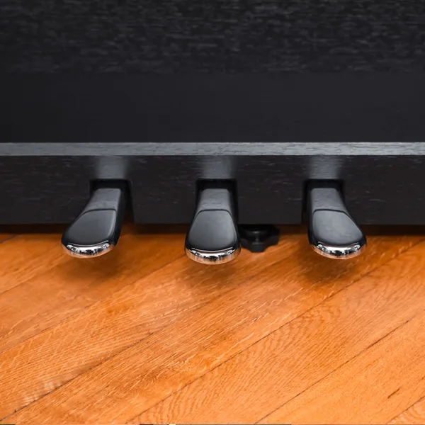 Đàn Piano Kawai CX202 - Ảnh 5