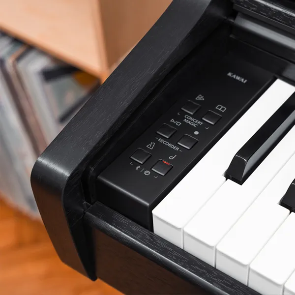 Music City – Tổng Kho Piano, Guitar, Organ | Dịch Vụ Giáo Dục Âm Nhạc