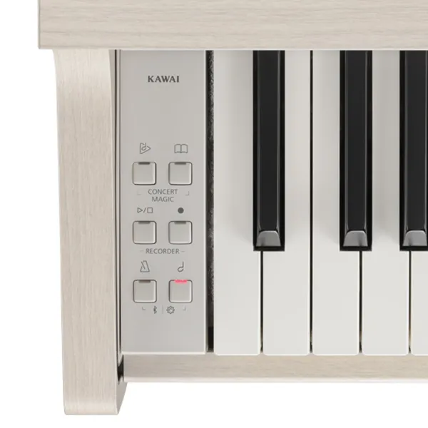 Music City – Tổng Kho Piano, Guitar, Organ | Dịch Vụ Giáo Dục Âm Nhạc