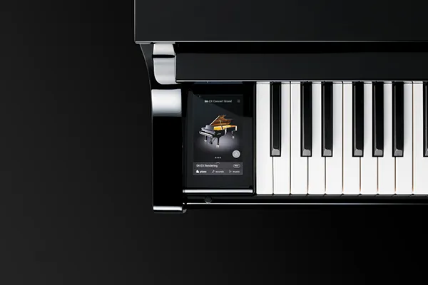 Music City – Tổng Kho Piano, Guitar, Organ | Dịch Vụ Giáo Dục Âm Nhạc