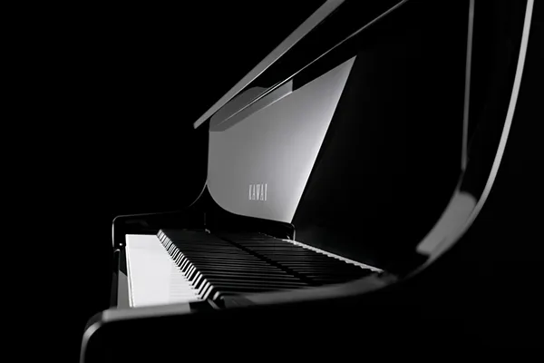 Music City – Tổng Kho Piano, Guitar, Organ | Dịch Vụ Giáo Dục Âm Nhạc