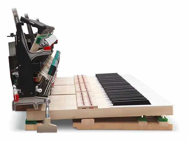 Music City – Tổng Kho Piano, Guitar, Organ | Dịch Vụ Giáo Dục Âm Nhạc