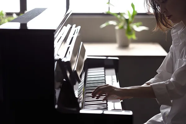 Music City – Tổng Kho Piano, Guitar, Organ | Dịch Vụ Giáo Dục Âm Nhạc