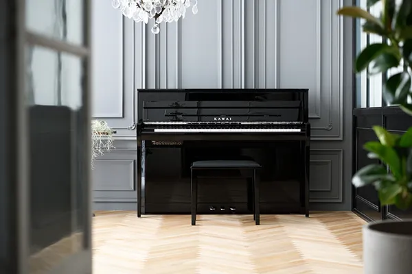 Music City – Tổng Kho Piano, Guitar, Organ | Dịch Vụ Giáo Dục Âm Nhạc