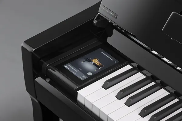 Music City – Tổng Kho Piano, Guitar, Organ | Dịch Vụ Giáo Dục Âm Nhạc