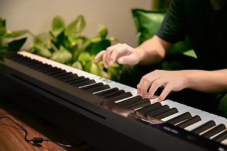 Music City – Tổng Kho Piano, Guitar, Organ | Dịch Vụ Giáo Dục Âm Nhạc