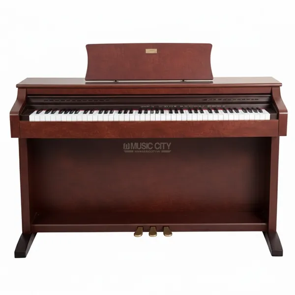 Music City – Tổng Kho Piano, Guitar, Organ | Dịch Vụ Giáo Dục Âm Nhạc