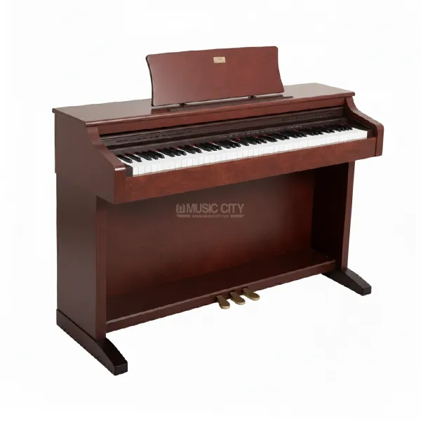 Music City – Tổng Kho Piano, Guitar, Organ | Dịch Vụ Giáo Dục Âm Nhạc