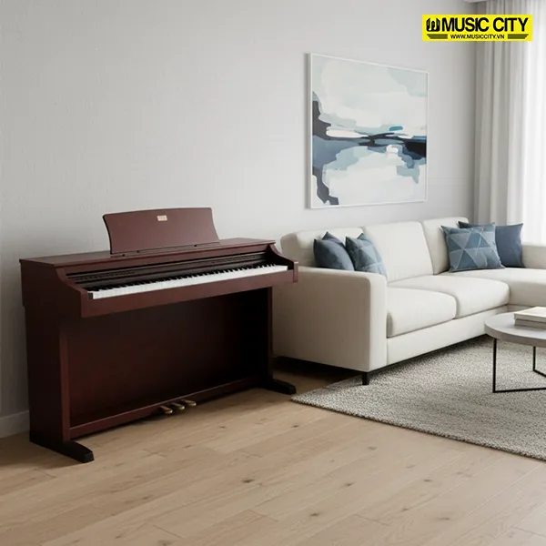 Music City – Tổng Kho Piano, Guitar, Organ | Dịch Vụ Giáo Dục Âm Nhạc