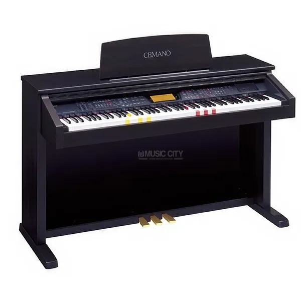 Music City – Tổng Kho Piano, Guitar, Organ | Dịch Vụ Giáo Dục Âm Nhạc