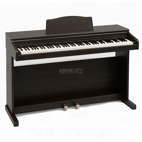 Music City – Tổng Kho Piano, Guitar, Organ | Dịch Vụ Giáo Dục Âm Nhạc