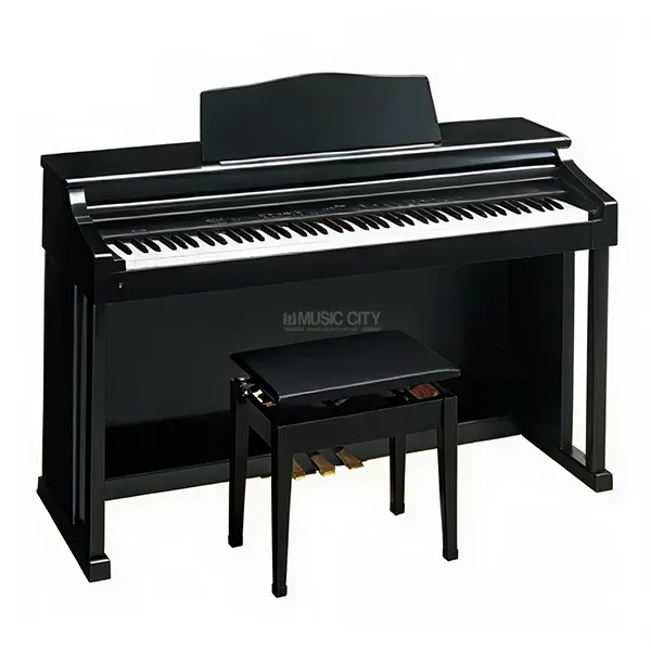 Music City – Tổng Kho Piano, Guitar, Organ | Dịch Vụ Giáo Dục Âm Nhạc