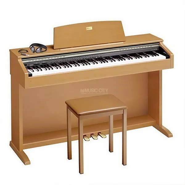 Music City – Tổng Kho Piano, Guitar, Organ | Dịch Vụ Giáo Dục Âm Nhạc