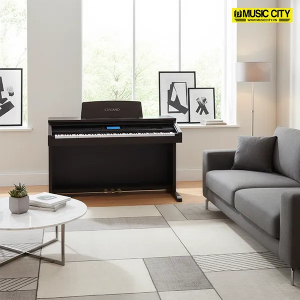 dan-piano-casio-ap65r-musiccity