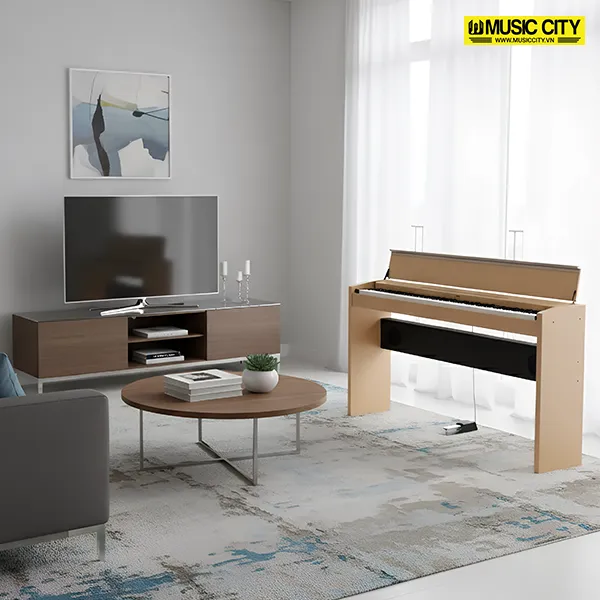 dan-piano-casio-ps3000-musiccity