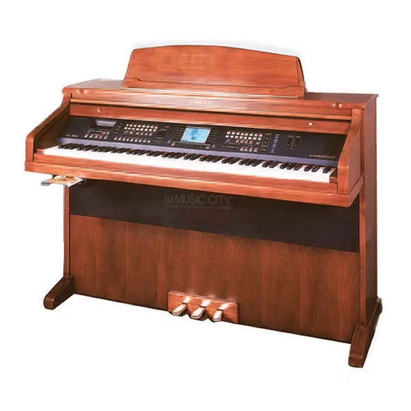 Music City – Tổng Kho Piano, Guitar, Organ | Dịch Vụ Giáo Dục Âm Nhạc