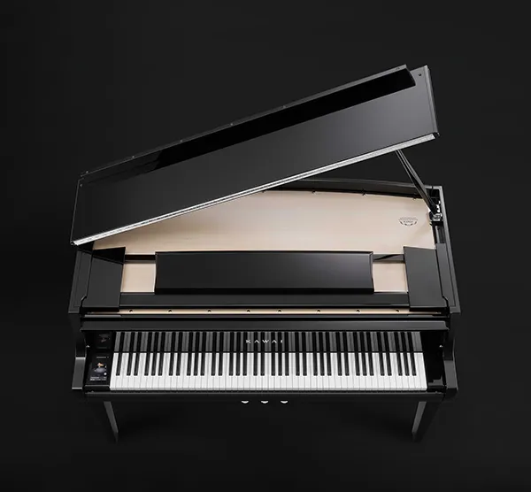 Music City – Tổng Kho Piano, Guitar, Organ | Dịch Vụ Giáo Dục Âm Nhạc