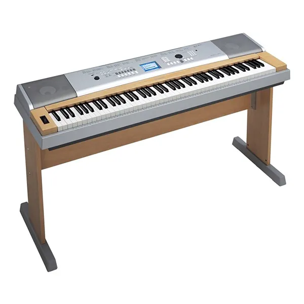 Music City – Tổng Kho Piano, Guitar, Organ | Dịch Vụ Giáo Dục Âm Nhạc
