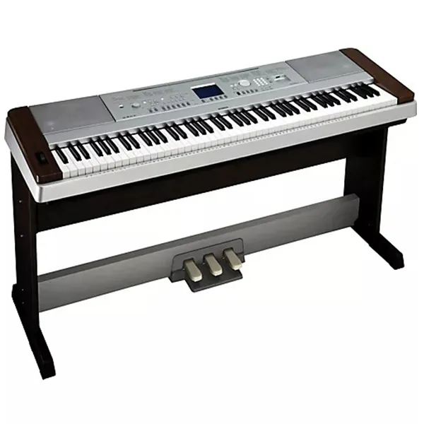 Music City – Tổng Kho Piano, Guitar, Organ | Dịch Vụ Giáo Dục Âm Nhạc