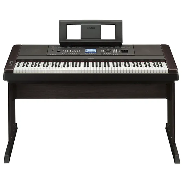 Music City – Tổng Kho Piano, Guitar, Organ | Dịch Vụ Giáo Dục Âm Nhạc