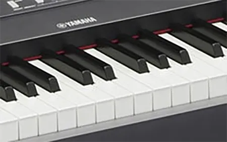 Music City – Tổng Kho Piano, Guitar, Organ | Dịch Vụ Giáo Dục Âm Nhạc