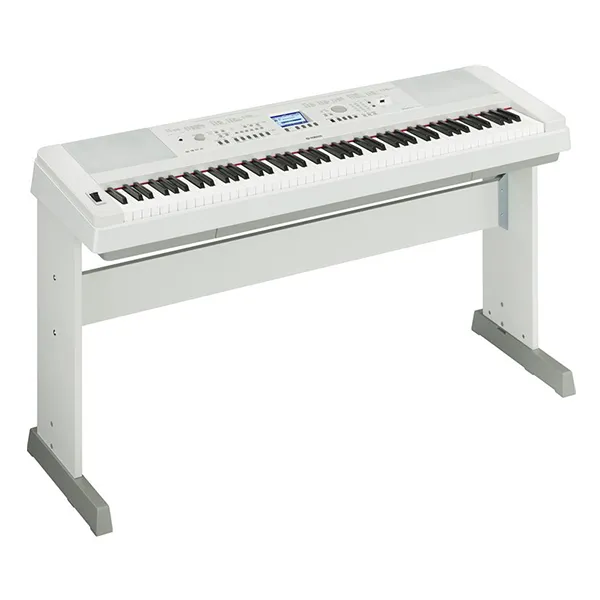 Music City – Tổng Kho Piano, Guitar, Organ | Dịch Vụ Giáo Dục Âm Nhạc